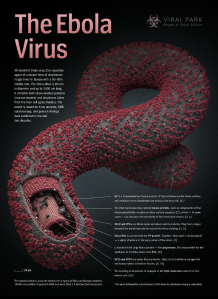 Ebola-poster@Visual-Science-Ivan-Konstantinov
